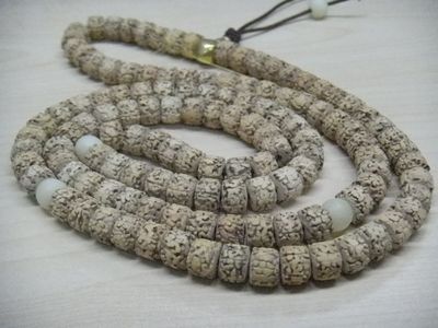 鍶90敷貼器